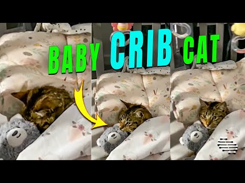 Cat Tucked in a Baby Crib Next to Its Toy as Musical Mobile Rotates