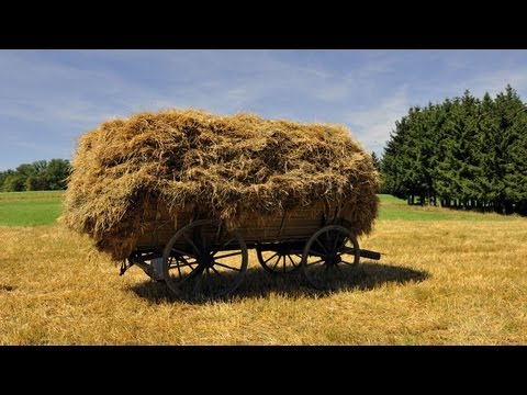Im Märzen der Bauer