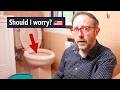 Why Are American Toilets Like This? DEFAULT Thumbnail