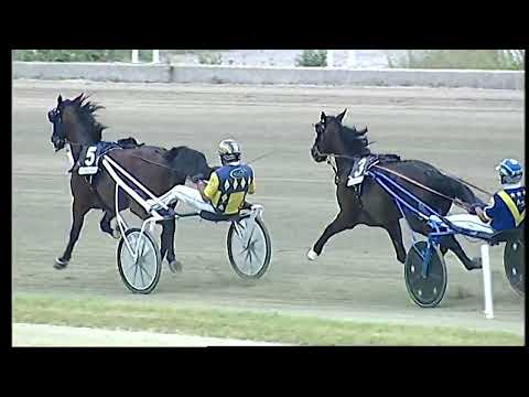 Napoli Trotto 27/05/2022 - 5ª corsa