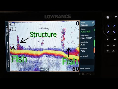 Get Your Lowrance Hds Live Ready To Fish Like A Pro!