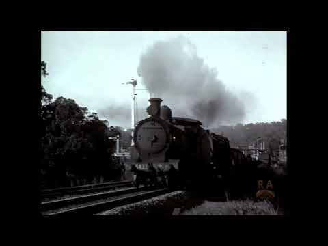 The Last Decade of STEAM Volume 2 - NSW Government Railways c1960s Australia