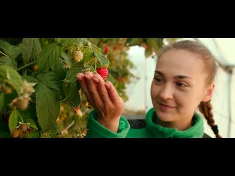 Brandfilm.pl x Showreel 2024