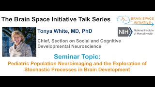 Pediatric Population Neuroimaging and the Exploration of Stochastic Processes in Brain Development