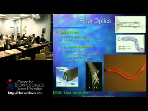 Tools for Biophotonics