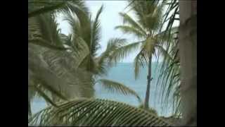 Sarah McLachlan - Bring On The Wonder ......... lyrics