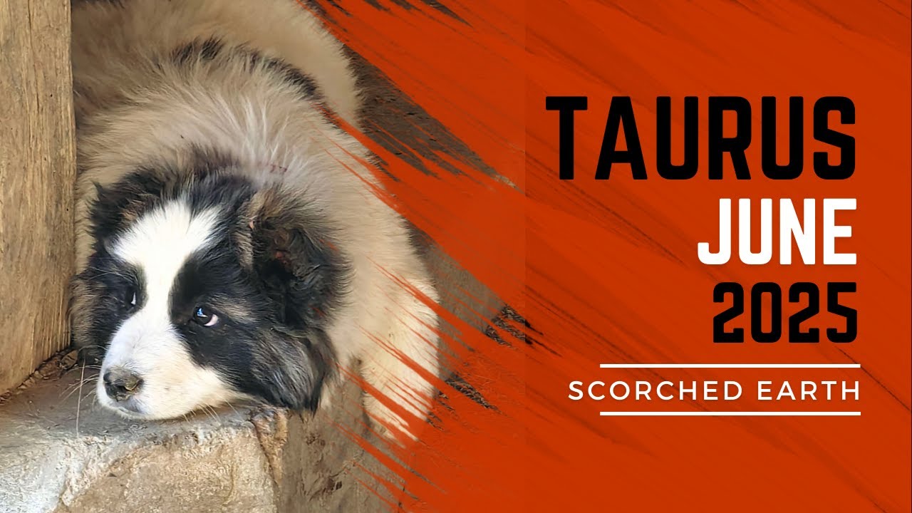 TAURUS || JUNE 2025