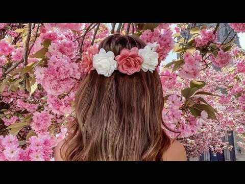 reiki Com Si Limpa as energies negatives equilib