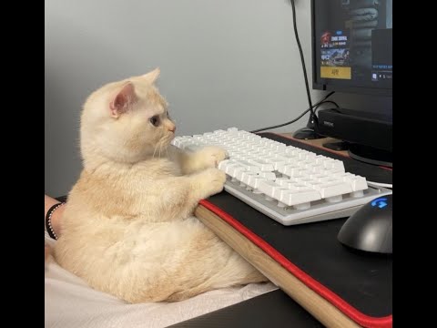 𝐩𝐫𝐨𝐦𝐢𝐬𝐞𝐬.