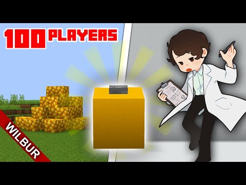 Mind-Blowing Minecraft Button Experiment!