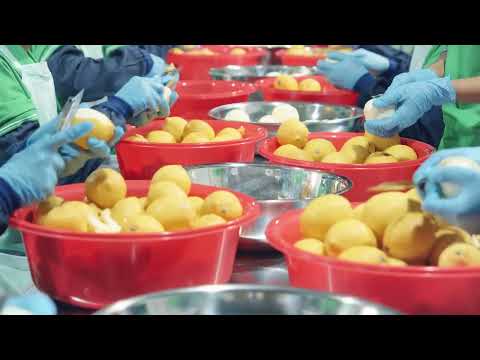 🎁𝗙𝗥𝗨𝗜𝗧 𝗝𝗨𝗜𝗖𝗘 𝘄𝗶𝘁𝗵 𝗡𝗔𝗧𝗔 𝗗𝗘 𝗖𝗢𝗖𝗢 - 𝗡𝗜𝗖𝗢 𝗡𝗜𝗖𝗢🍊