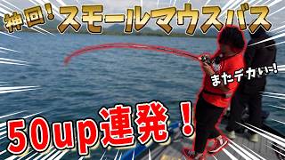 【バス釣り】神回！猪苗代湖で巨大スモールマウスバスフィッシング！50UP連発の超爆釣！