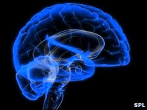 DJ VIPER BRAINSMASH PART 1.wmv