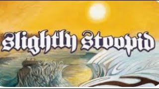 SLIGHTLY Stoopid - Life Rolls On - Best end of the day song 👍🔥📀#reggae #chillmusic Stick Figure