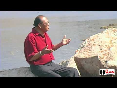 LOS PUQUIALES - COLEGIALITA - AUTOR: ADON HEREDIA