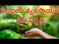 Methods in Organic Farming&How to do organic farming in Telugu.Let us learn organicfarming.Save Soil