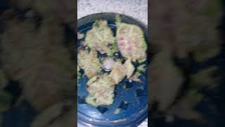 Uk cannabis purple lemon cookies