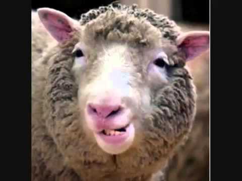 Alais Clay ft. Payday Monsanto - Heavy Kool-Aid