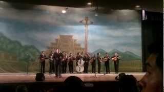 preview picture of video 'Cuenta Conmigo Rondalla Dreema AMYAM Xalapa 2013'