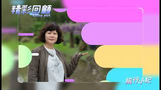 跟著小楊老師趣旅行～淡水紫藤花第二園區等