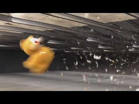 Blast A Bear 2018 Video