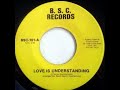 Love is Understanding ~ Brain Storm Connections