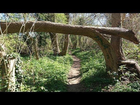 Walking about in New Addington 05/04/2020