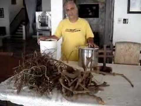 Considerações do Feitio do Santo Daime 1