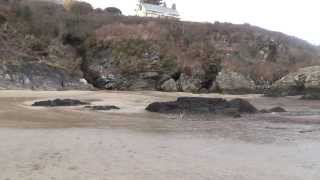 preview picture of video 'Borth y Gest Beaches'