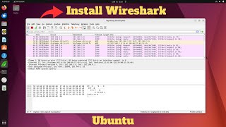 How to Install Wireshark on Linux (Debian/Ubuntu)