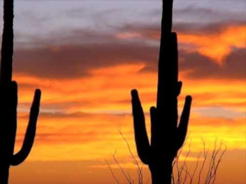 The Refreshments "Nada"