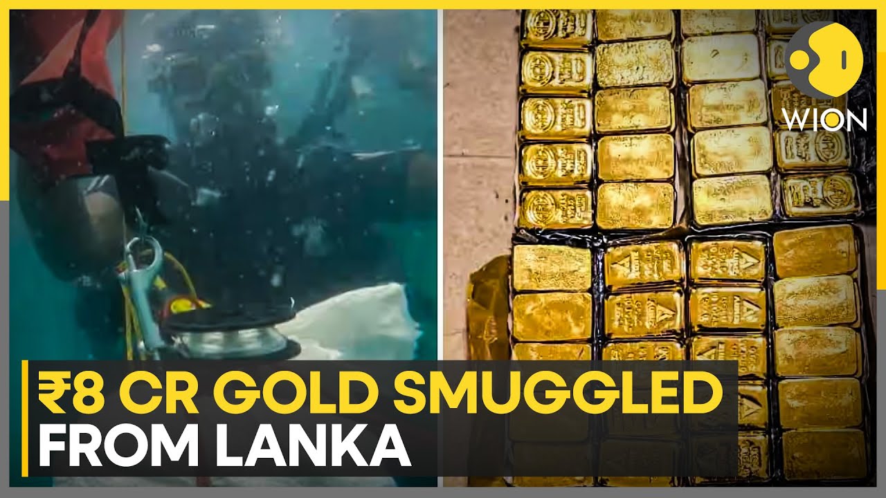 Sri Lanka-bound 6 Kg Gold Seized Near Tamil Nadu, Two-wheeler Used in Smuggling | WION News