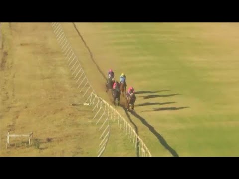 2020.07.19 Zimbabwe Oaks - Lily Blue