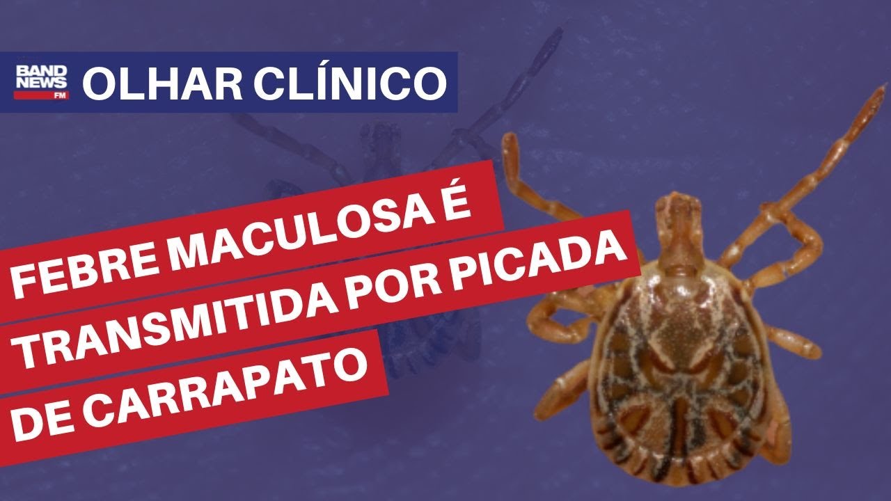 Febre maculosa é transmitida por picada de carrapato infectado por bactéria | Álvaro Furtado