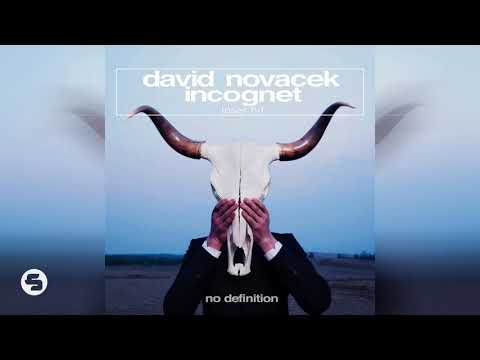 David Novacek & Incognet - Loser Hit