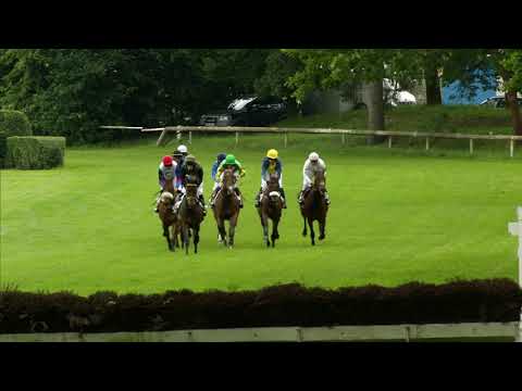 PE, 23. 6. 2018, 1. dostih - Cena za podpory Sportovního parku Pardubice