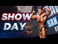 SHOW DAY | EL CAMINO LLEGA A SU FIN… *ASÍ LO VIVIMOS*