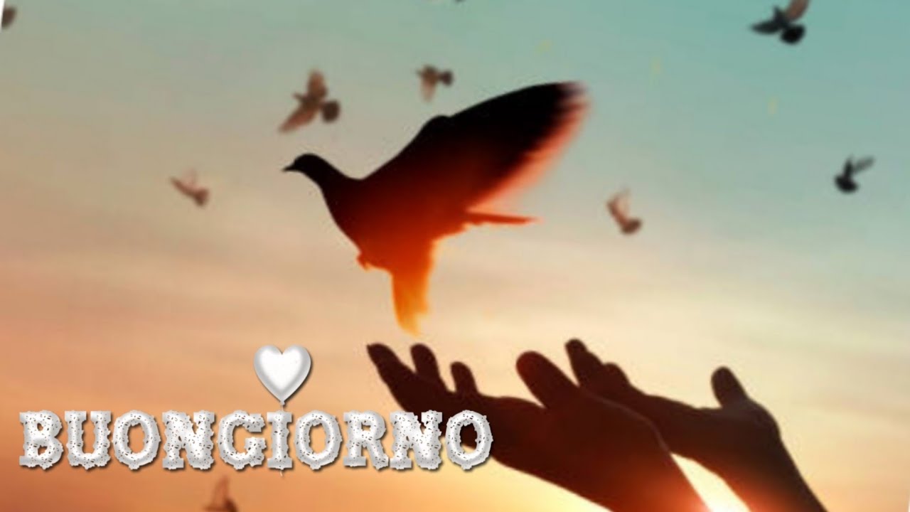 Preghiamo per la pace 🕊 Buongiorno ❤