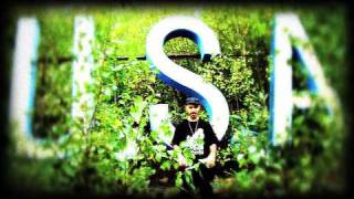 The Rising Sun Quest:  Fire in the Sky [Music Video]