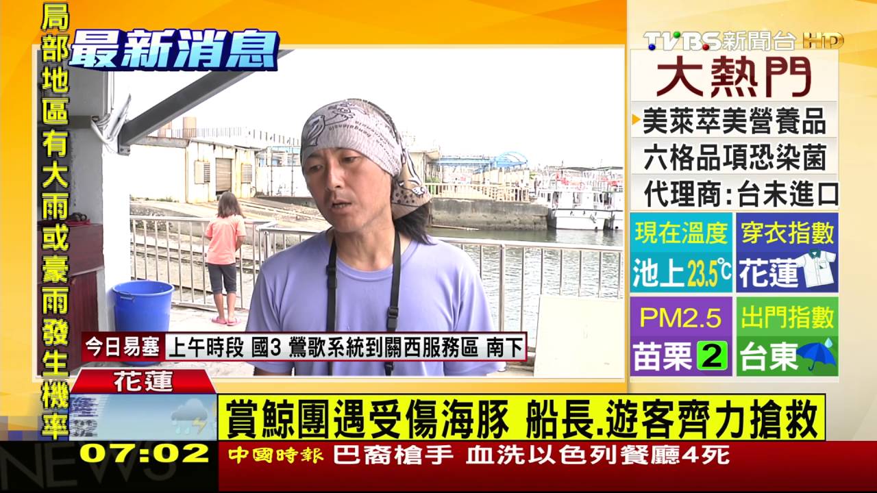 不捨！魚叉刺穿喉死亡　海豚嚥氣前「流淚」