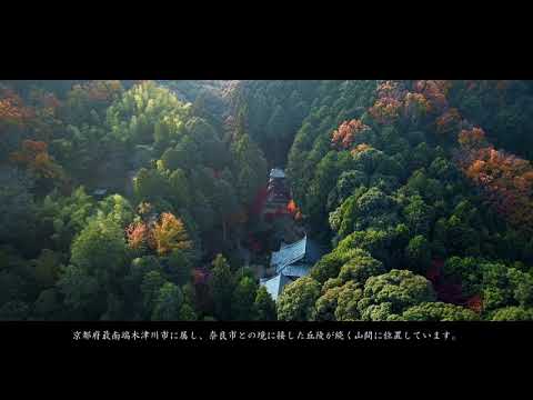 海住山寺　神童寺　岩船寺　恭仁京　ツアー