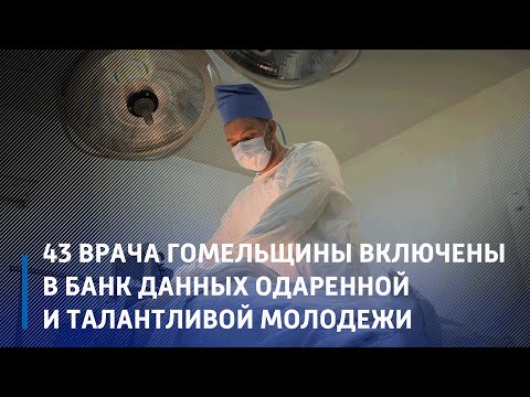 В Гомельской области в банк данных одаренной и талантливой молодежи включены 43 врача видео