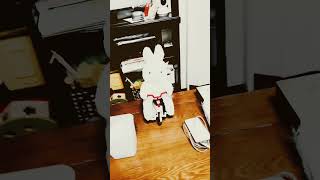 ちゃんねる登録してねー！