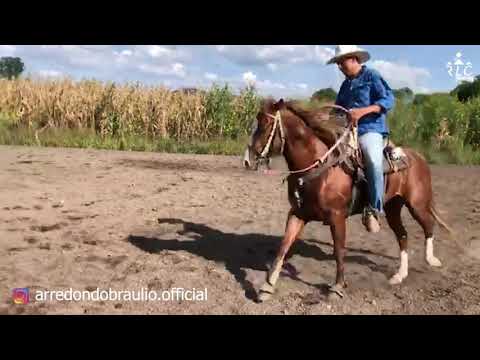 EL CAMINO AL FUTURITY VIP - Capítulo 9 (Parte 6)