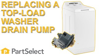 How to Replace the Electric Drain Pump on Your Top Load Washer