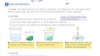 [초등과학 6-1 무료강의] 4. 식물의 구조와 기능 ④ 잎이 하는 일을 알아볼까요?