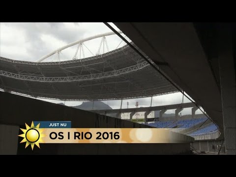 Svenska medaljhoppet inför OS - Nyhetsmorgon (TV4)