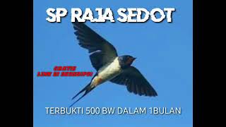 Download lagu SP RAJA SEDOT ORIGINAL TERBUKTI JOSS mp3 Download lagu SP RAJA SEDOT ORIGINAL TERBUKTI JOSS mp3