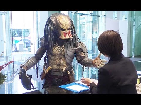 Predator szuka pracy.