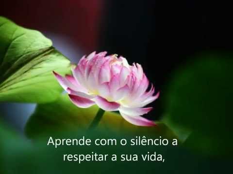 Aprende com o Silêncio - Jean-Yves Leloup